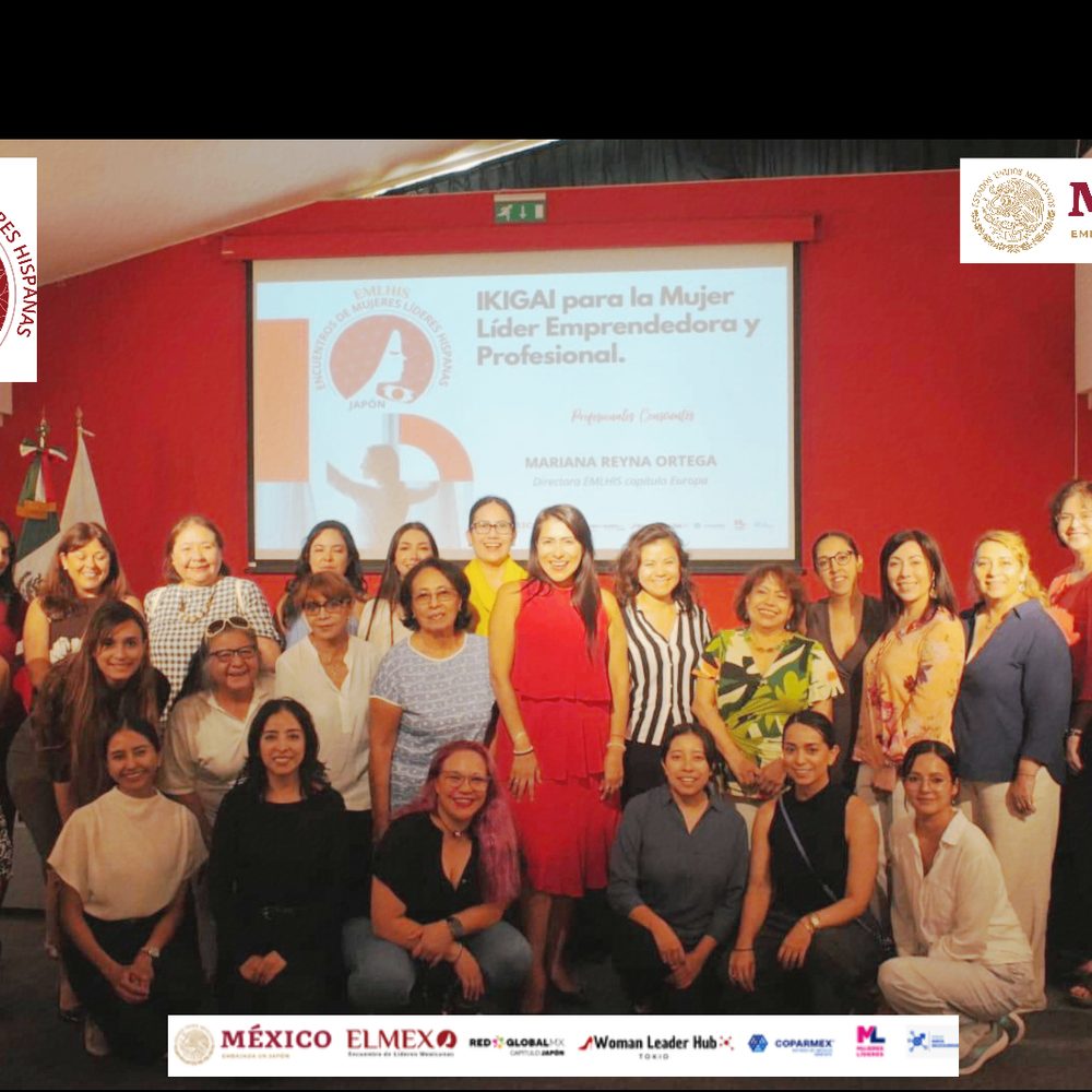 Encuentro EMLHIS en Ciudad de México